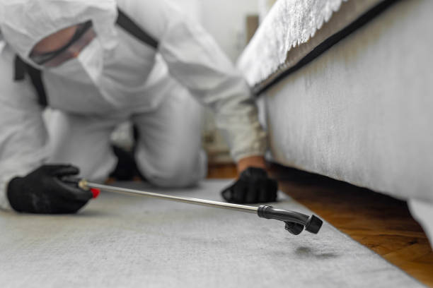 Professional Bed Bug Control technician working in Silver City, NM