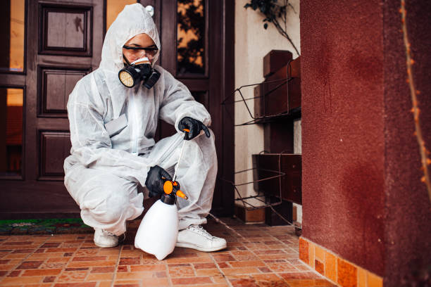 Reliable Bed Bug Control contractor in Silver City, NM by Nex Pest Control