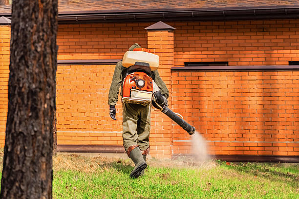 Trusted Termite Control service in Silver City, NM - Nex Pest Control